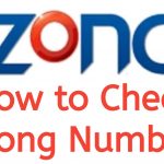 Zong Number Check Code