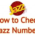 Jazz Number Check Code